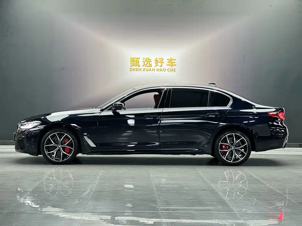 BMW 5 Series — миниатюра 3