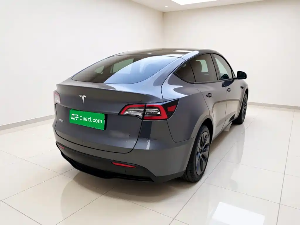Tesla Model Y — миниатюра 6