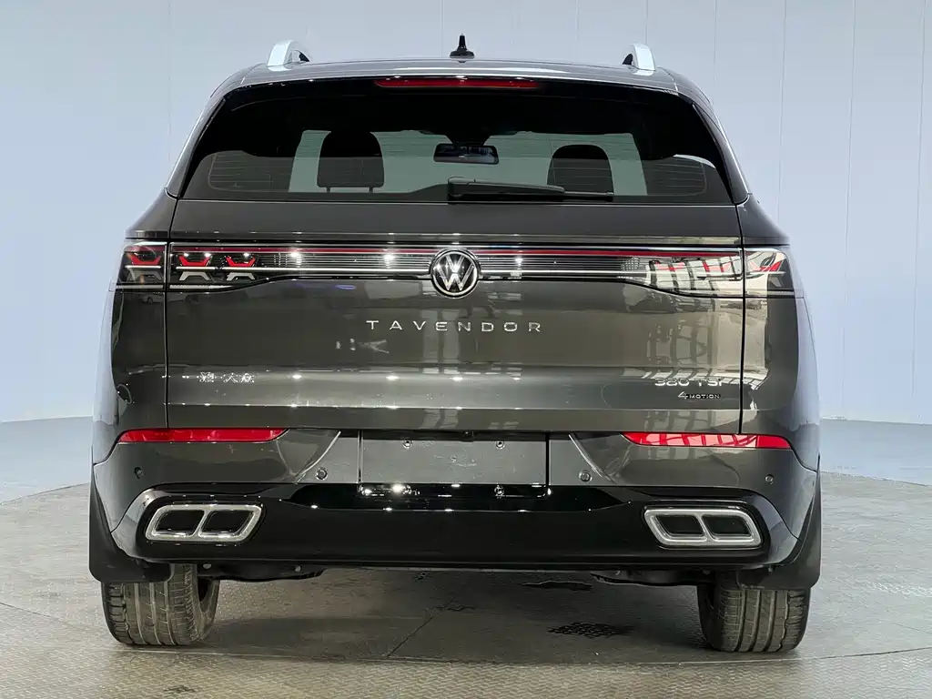 Volkswagen Tavendor — миниатюра 25
