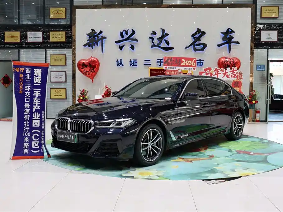 BMW 5 Series New Energy 2022