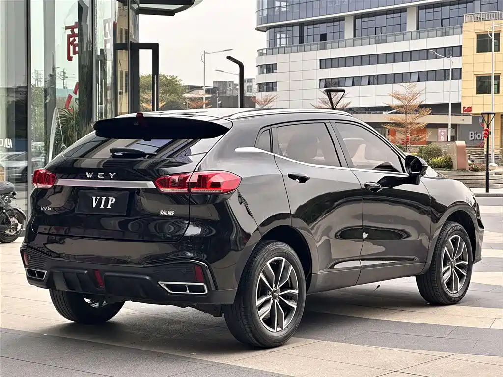 WEI PAI WEI BRAND VV5