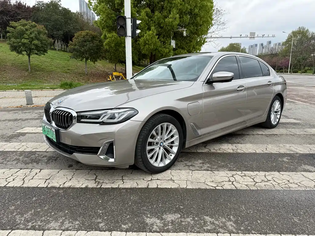 BMW 5 Series New Energy 2021