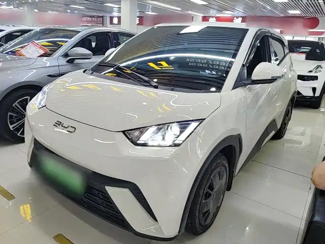2025 BYD Seagull