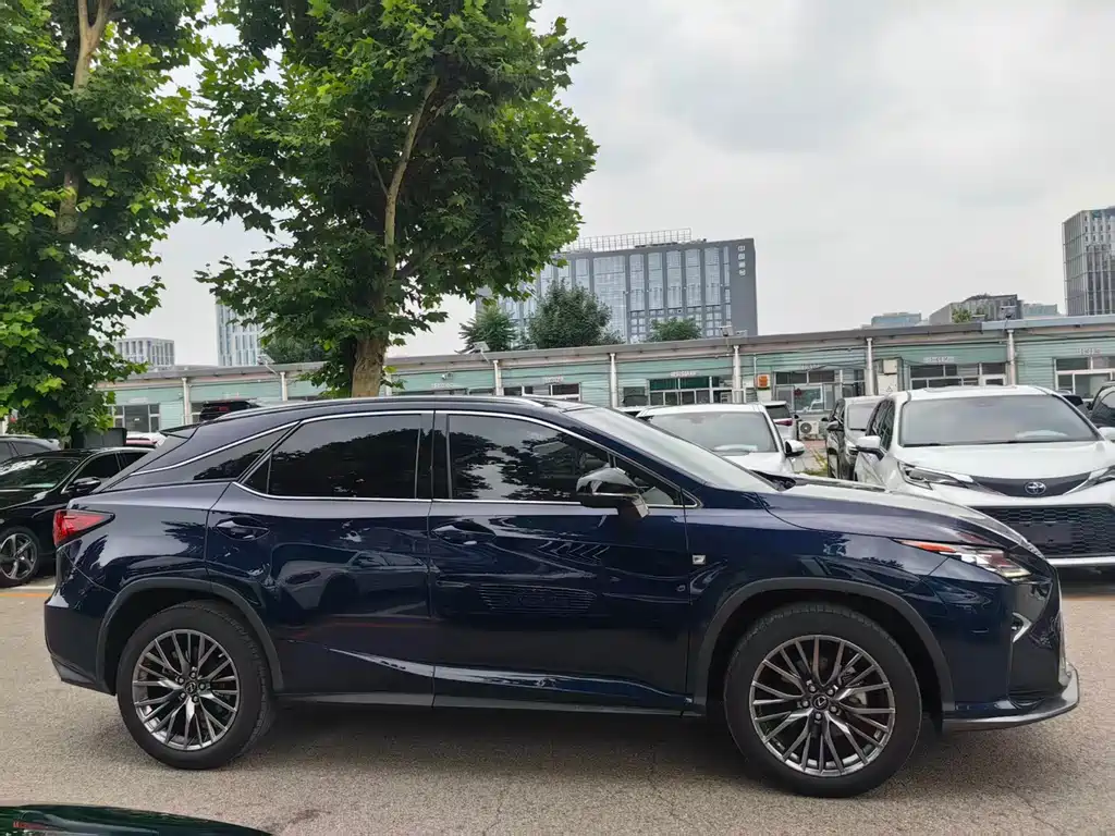 Lexus RX 2020 300 F SPORT VI