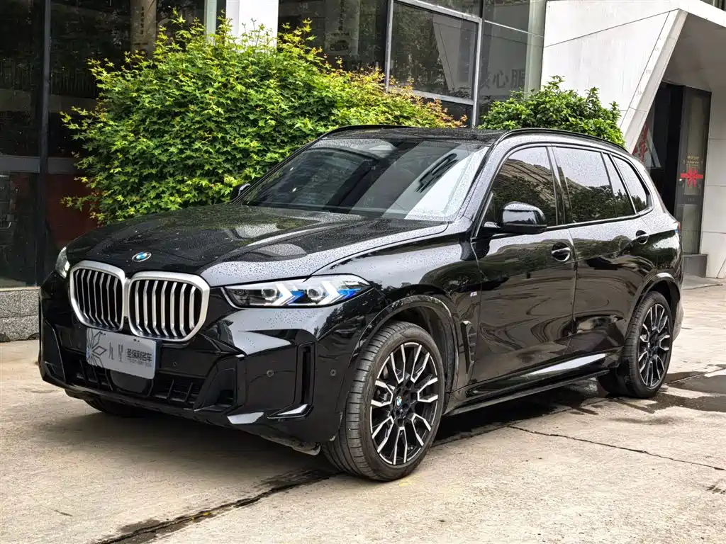 BMW X5 2024