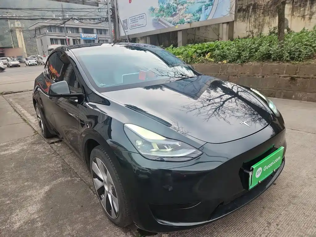 Tesla Model Y — миниатюра 22