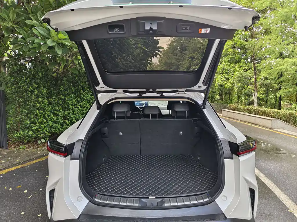 Lexus RZ — миниатюра 10