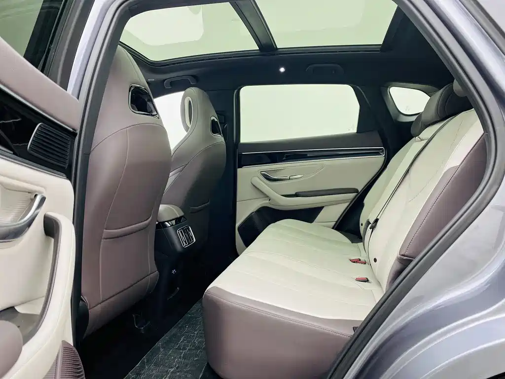 BYD SONGJIANG NEW ENERGY