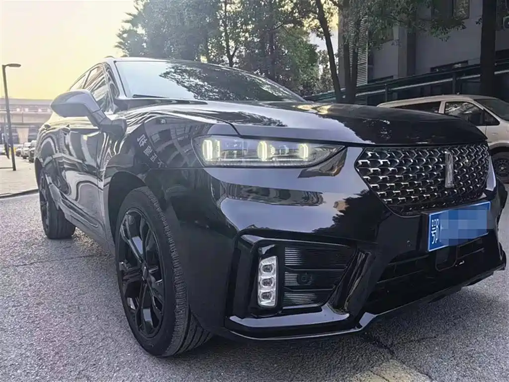 WEI PAI WEI BRAND VV7