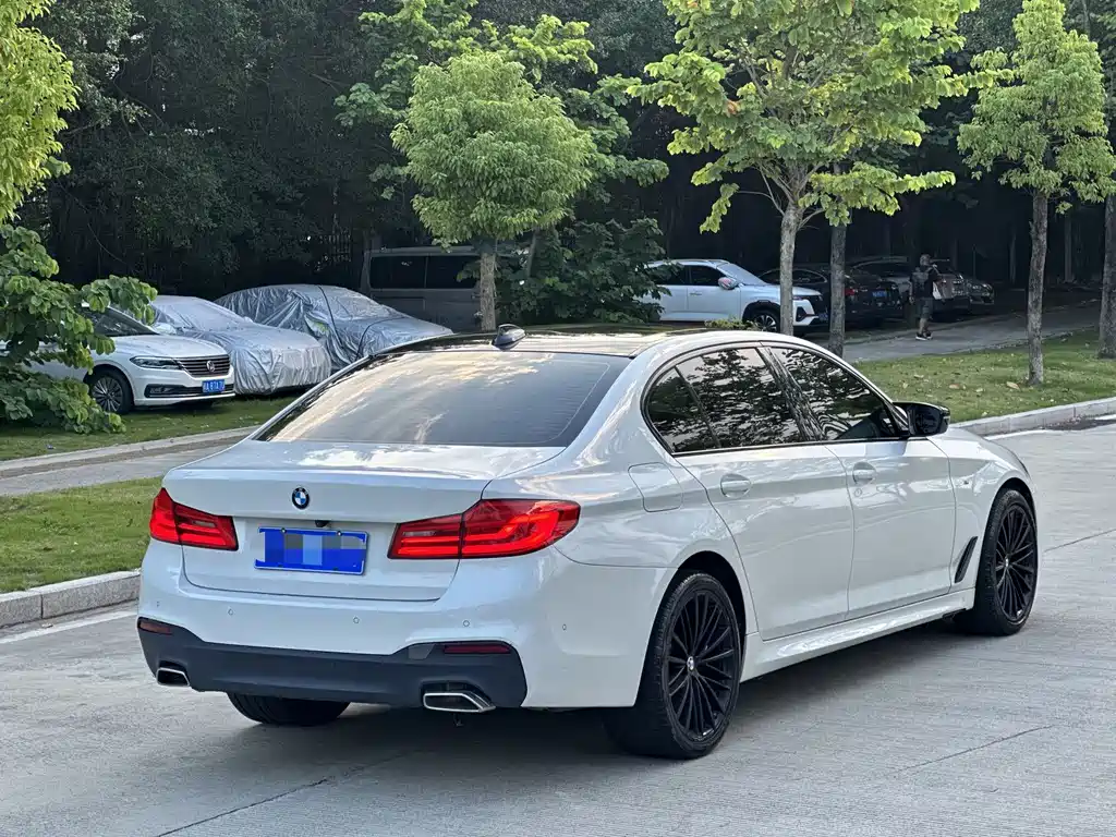 BMW 5 Series 5 2019 530Li Premium M Sport