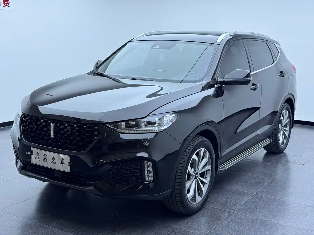 Wey Wey VV6 2019