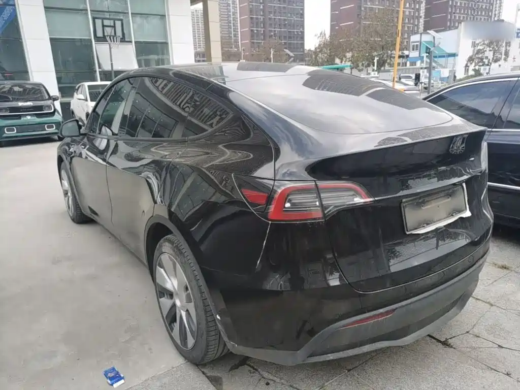Tesla Model Y — миниатюра 5