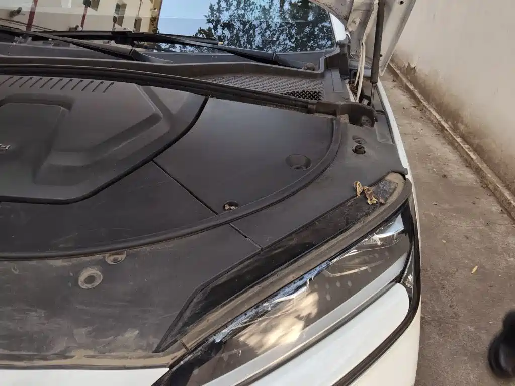 BYD PLUS New Energy — миниатюра 22