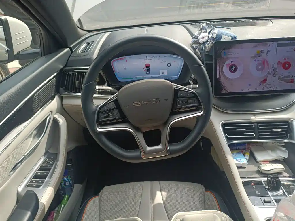 BYD PLUS New Energy — миниатюра 3