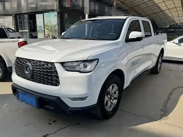 GREAT WALL CANNON 2021