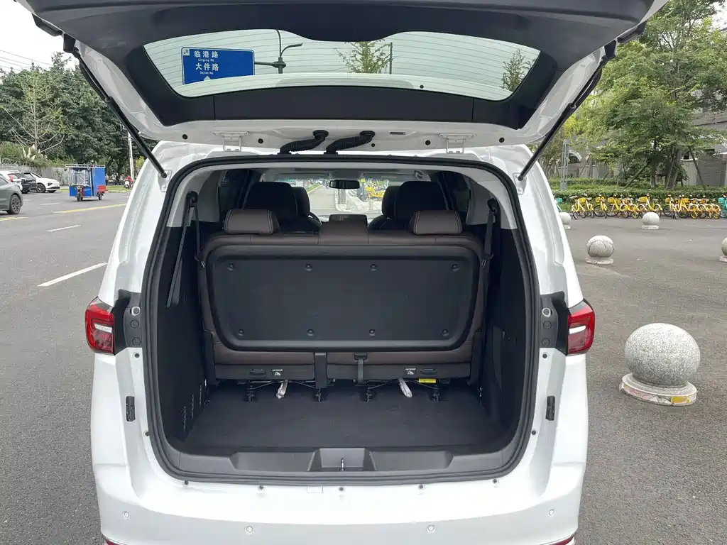 Buick GL8 — миниатюра 14