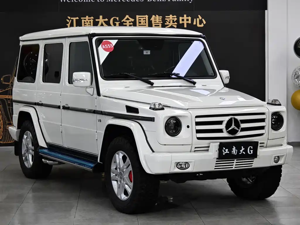 Mercedes-Benz G-Class G 2010 G 500