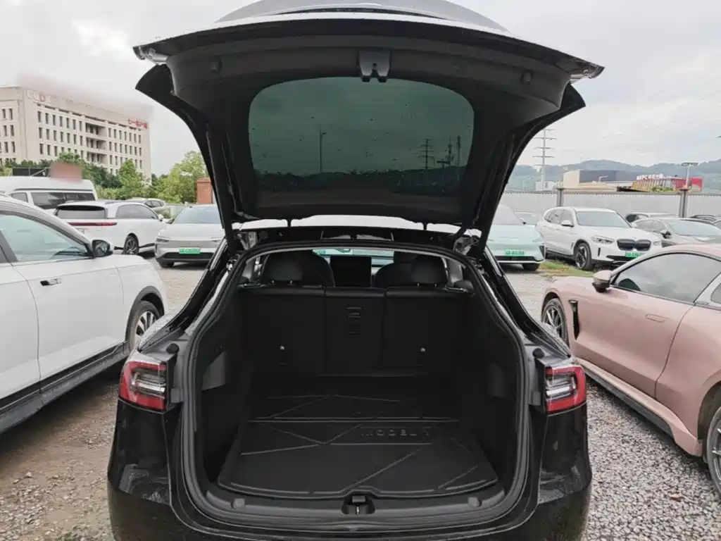 Tesla Model Y — миниатюра 19