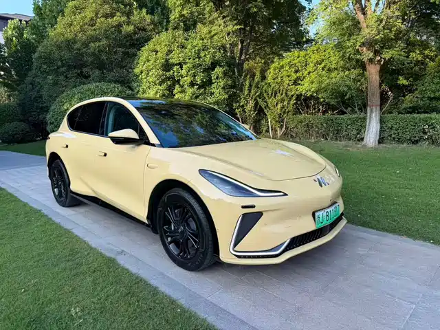 IM Motors LS7