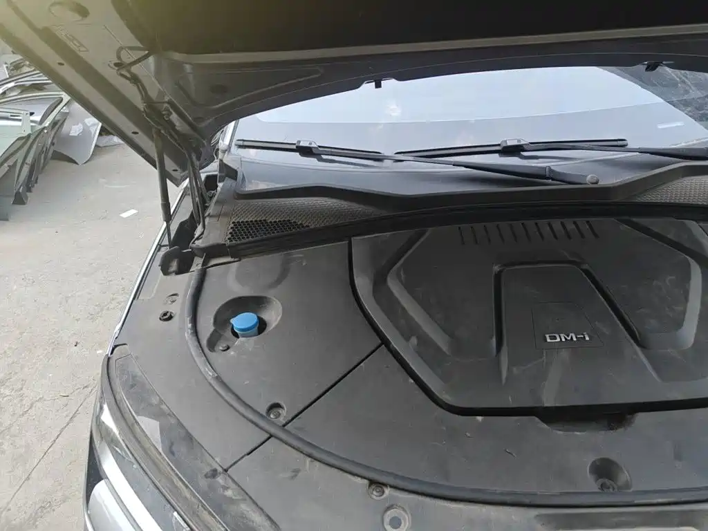 BYD PLUS New Energy — миниатюра 21