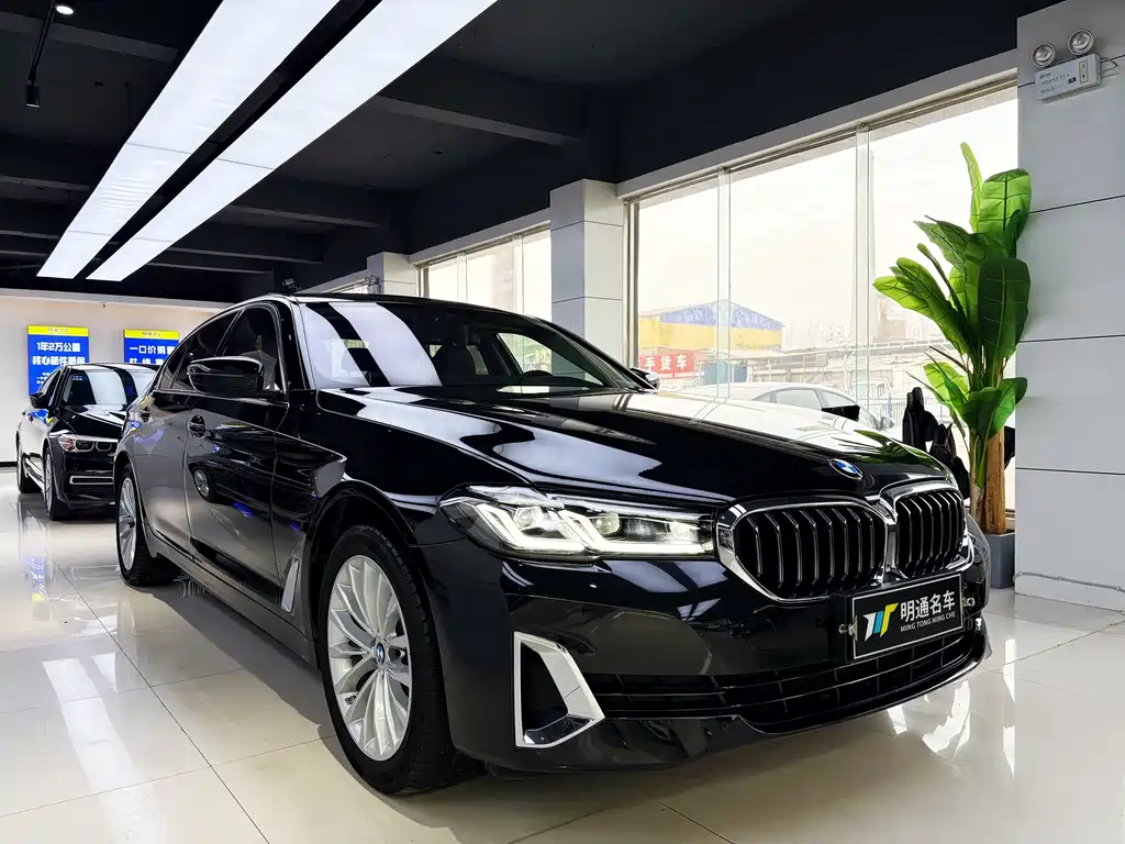 BMW 5 SERIES