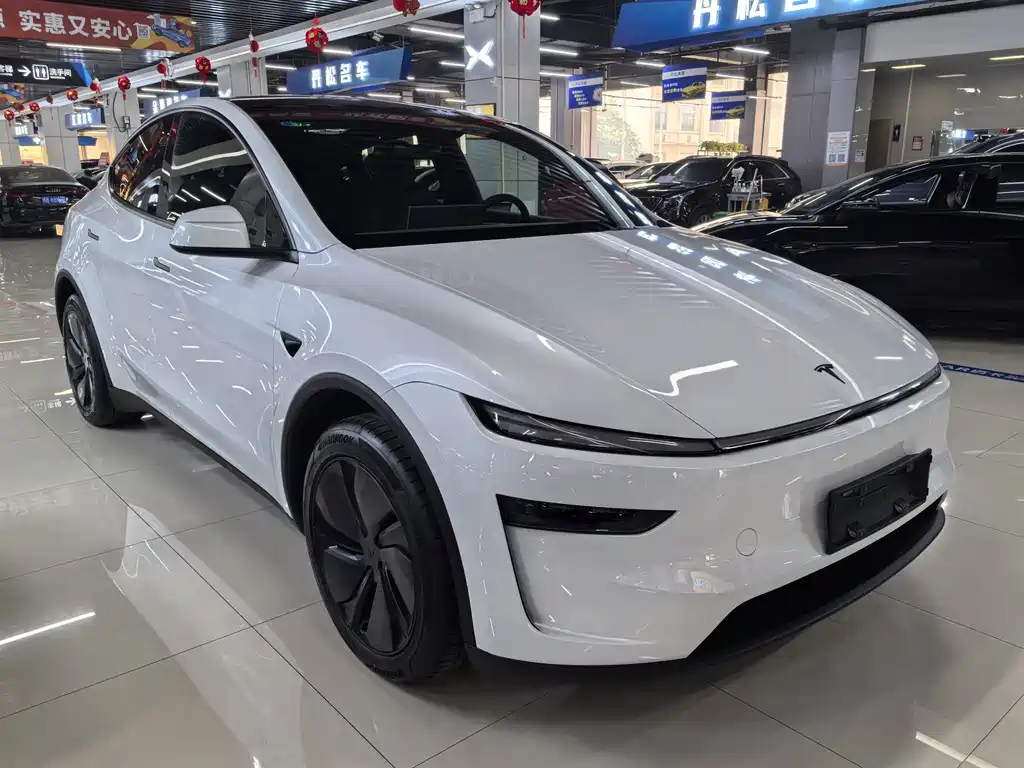 Tesla Model Y — миниатюра 3