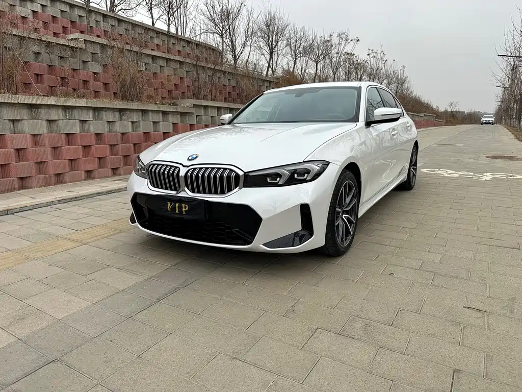 Купить BMW 3 Series