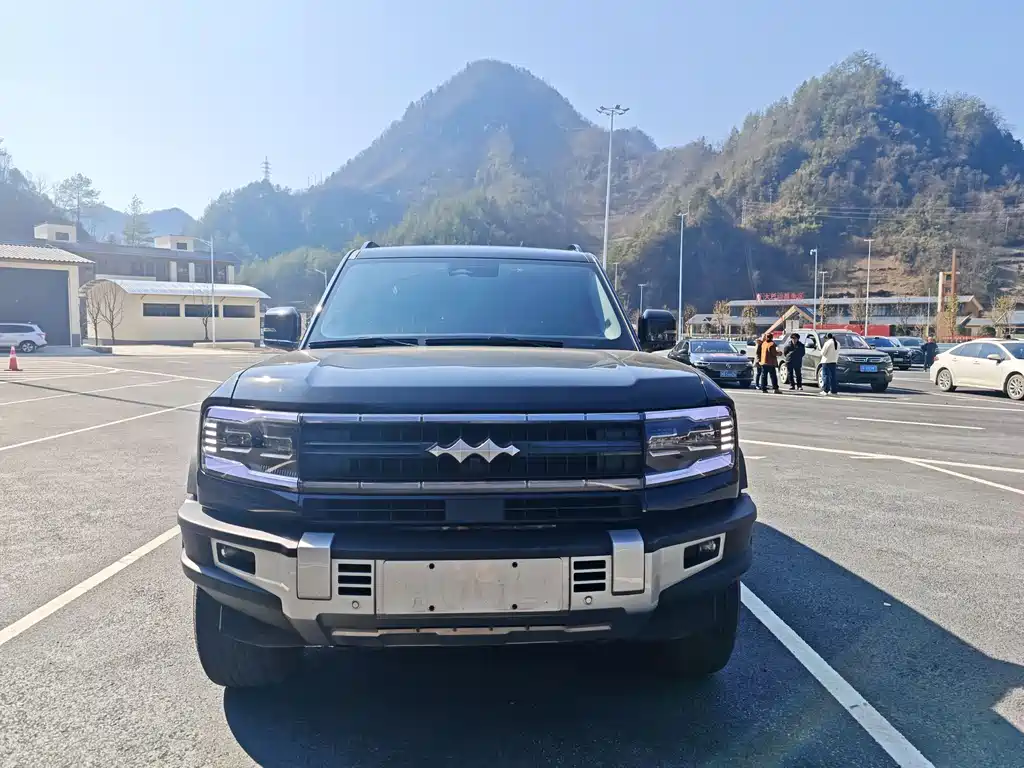 FANG CHENG BAO LEOPARD 5