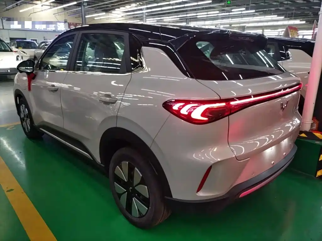 Wuling BinguoS S 2025 325km Premium