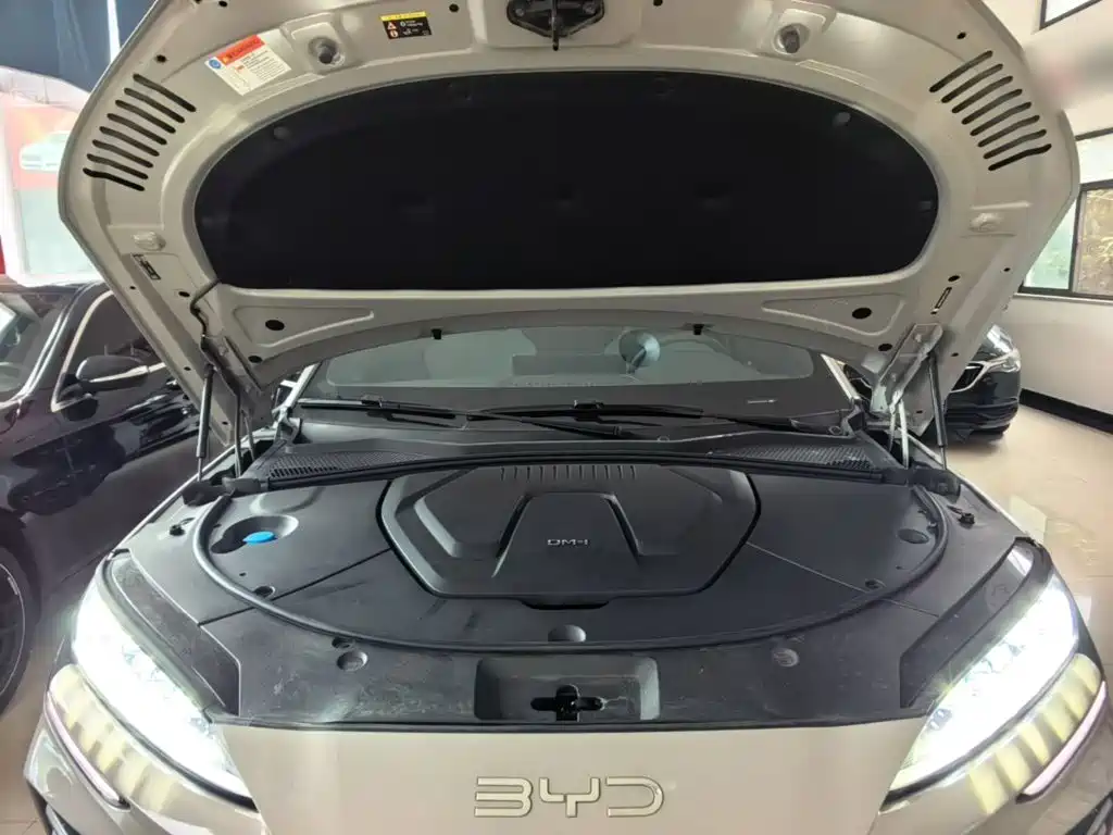 BYD PLUS New Energy — миниатюра 20