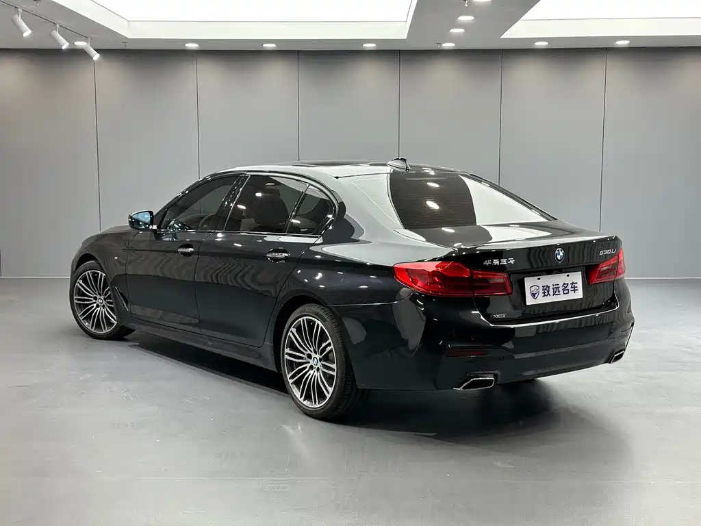 BMW 5 Series — миниатюра 6