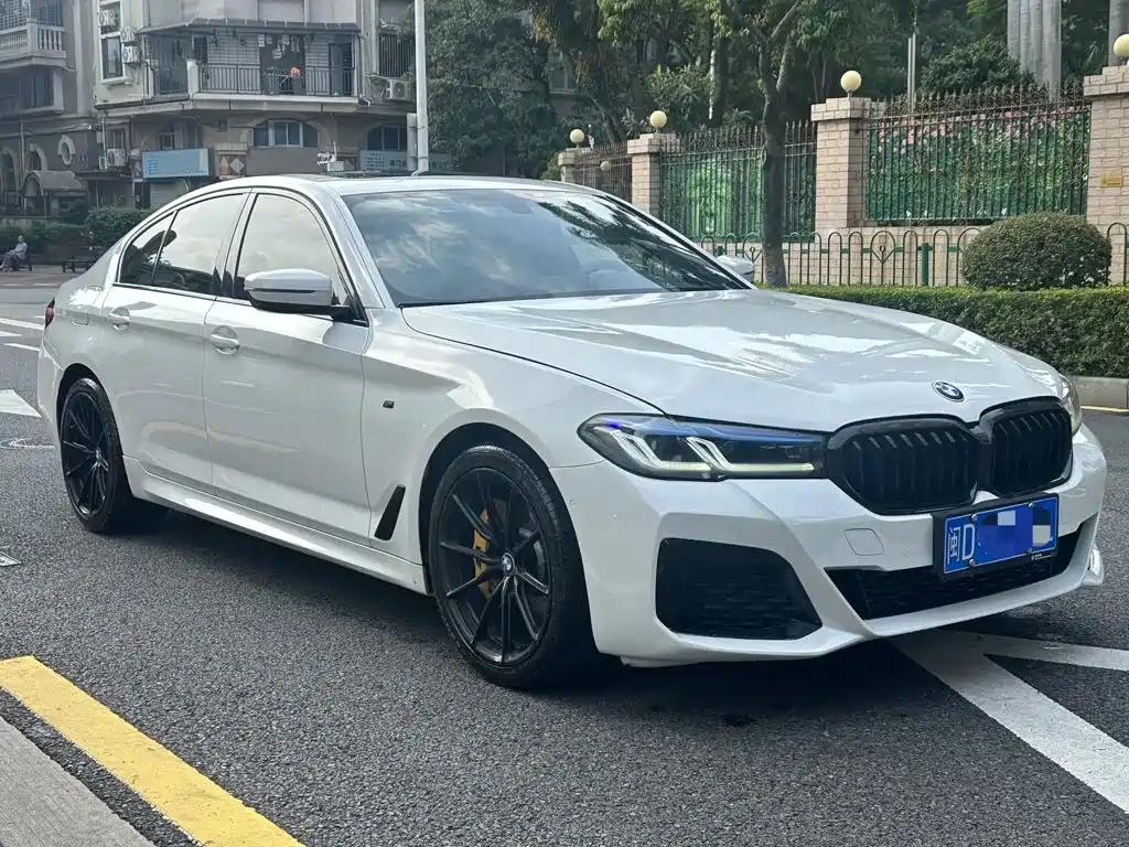 BMW 5 Series (Import) — миниатюра 3