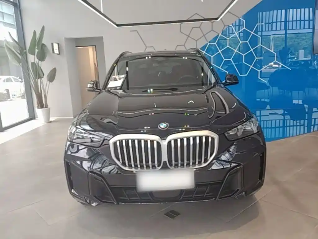 BMW X5 — миниатюра 3