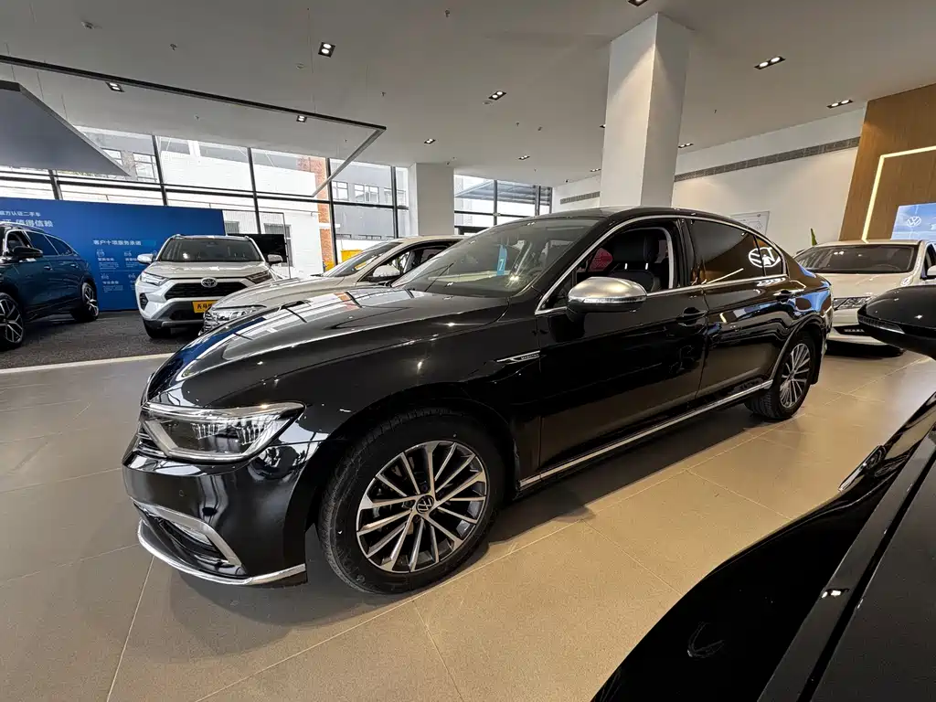 Volkswagen Magotan — миниатюра 3