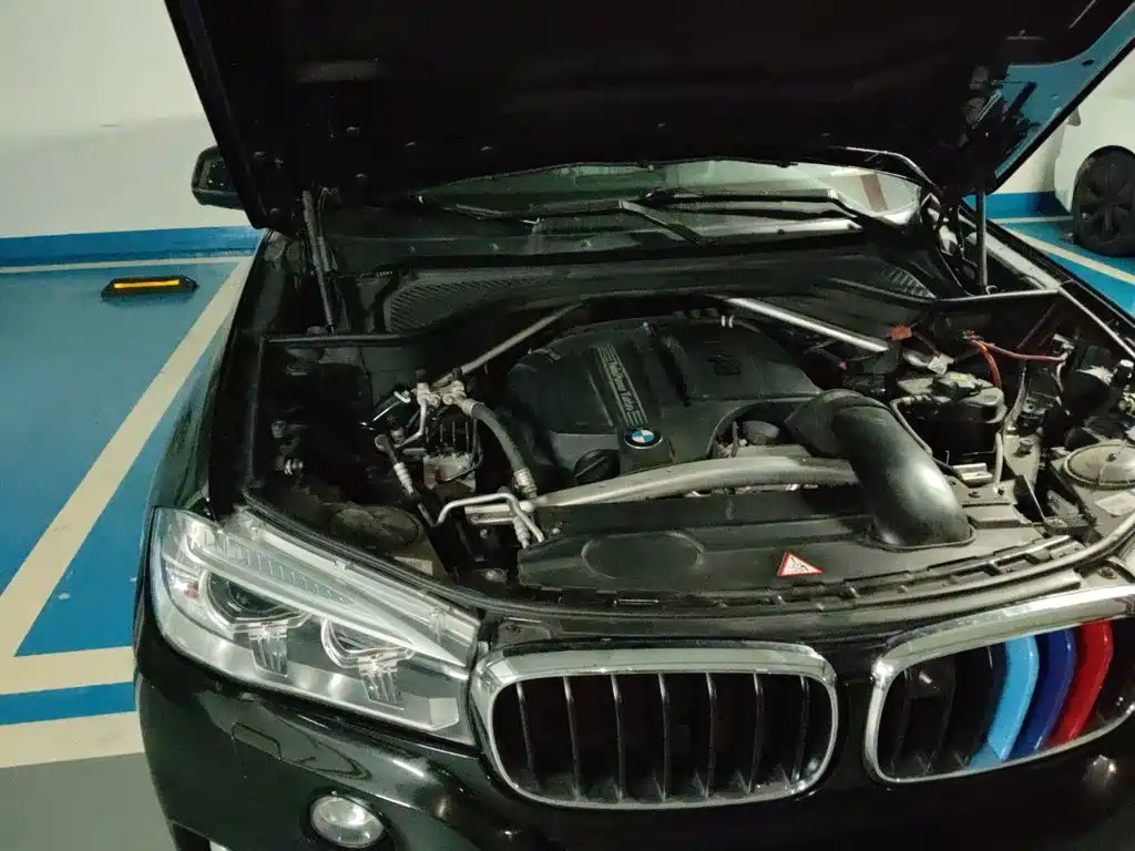 BMW X5 (Import) — миниатюра 19