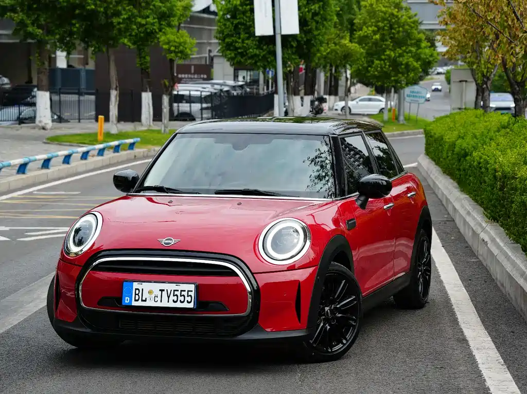 Mini Mini 2021