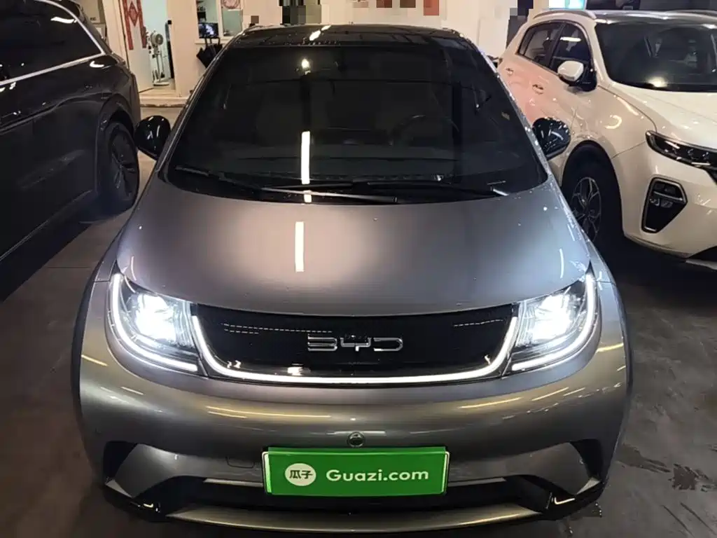 BYD Dolphin — миниатюра 3