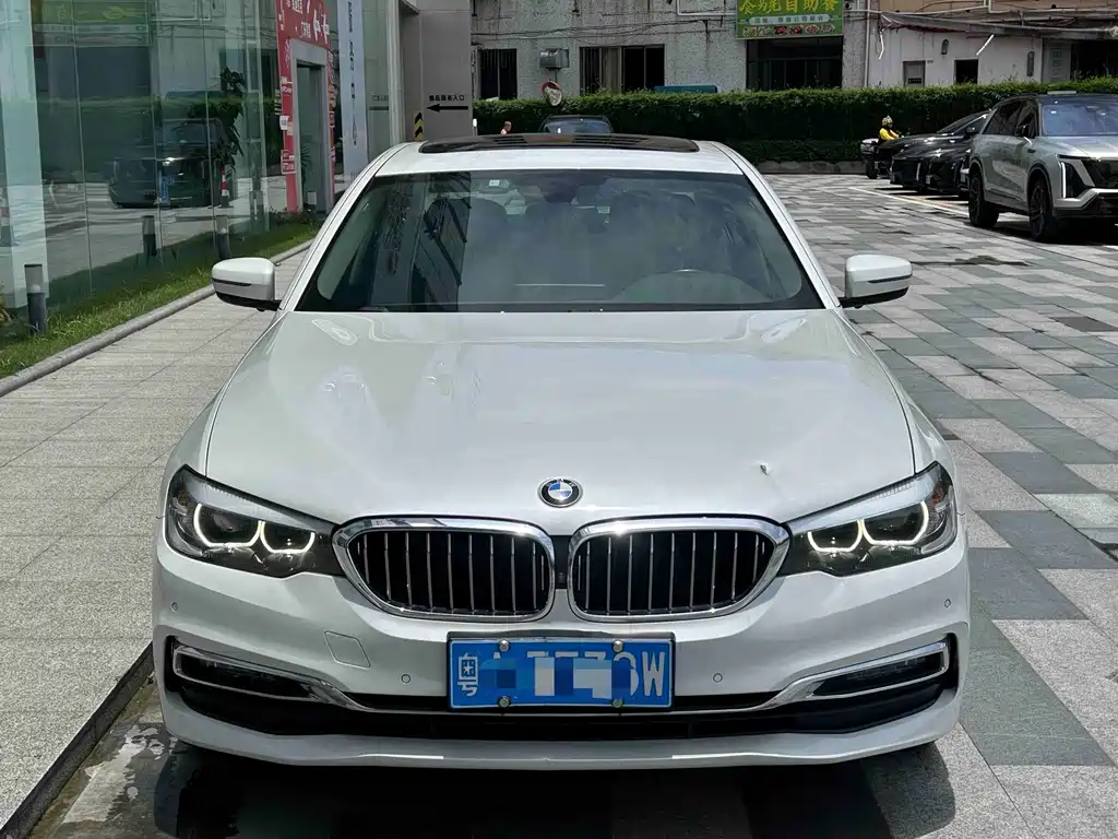 BMW 5 Series 5 2019 530Li Lead Luxury