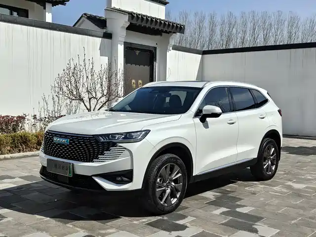 HAVAL H6 NEW ENERGY 2023