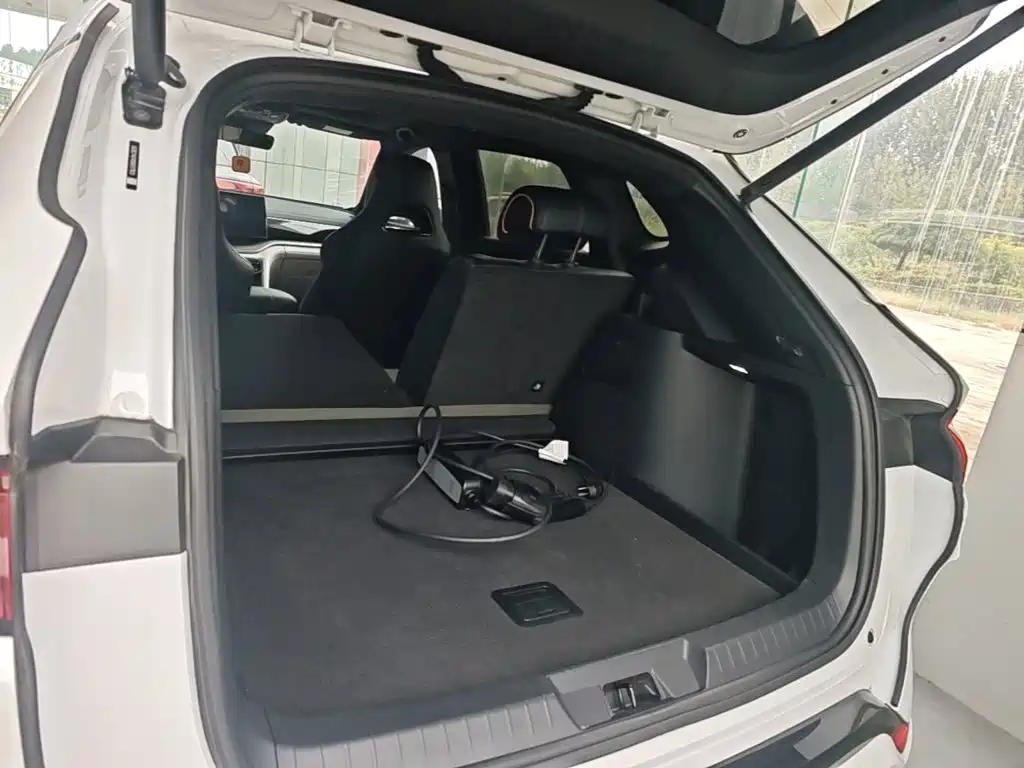 BYD PLUS New Energy — миниатюра 19
