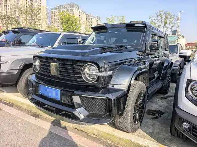 Tank 300