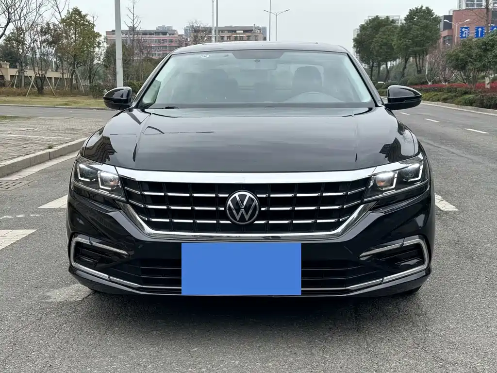 Volkswagen Passat — миниатюра 2