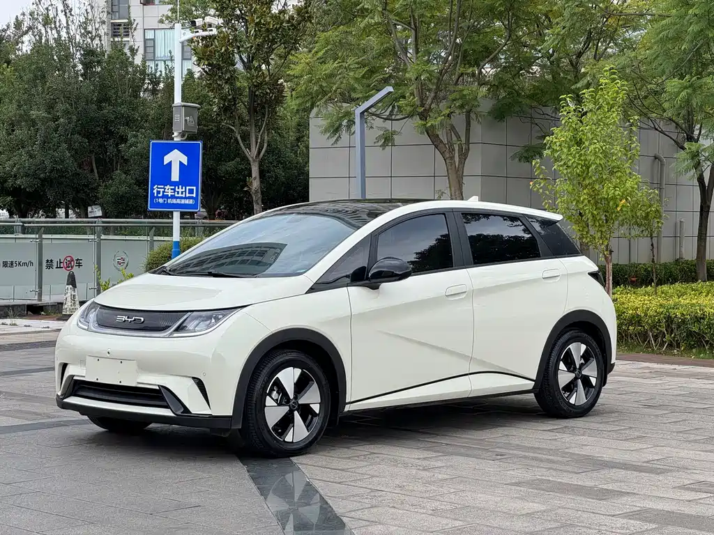 BYD Dolphin — миниатюра 2