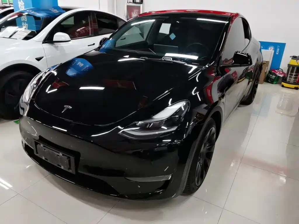 Tesla Model Y — миниатюра 2