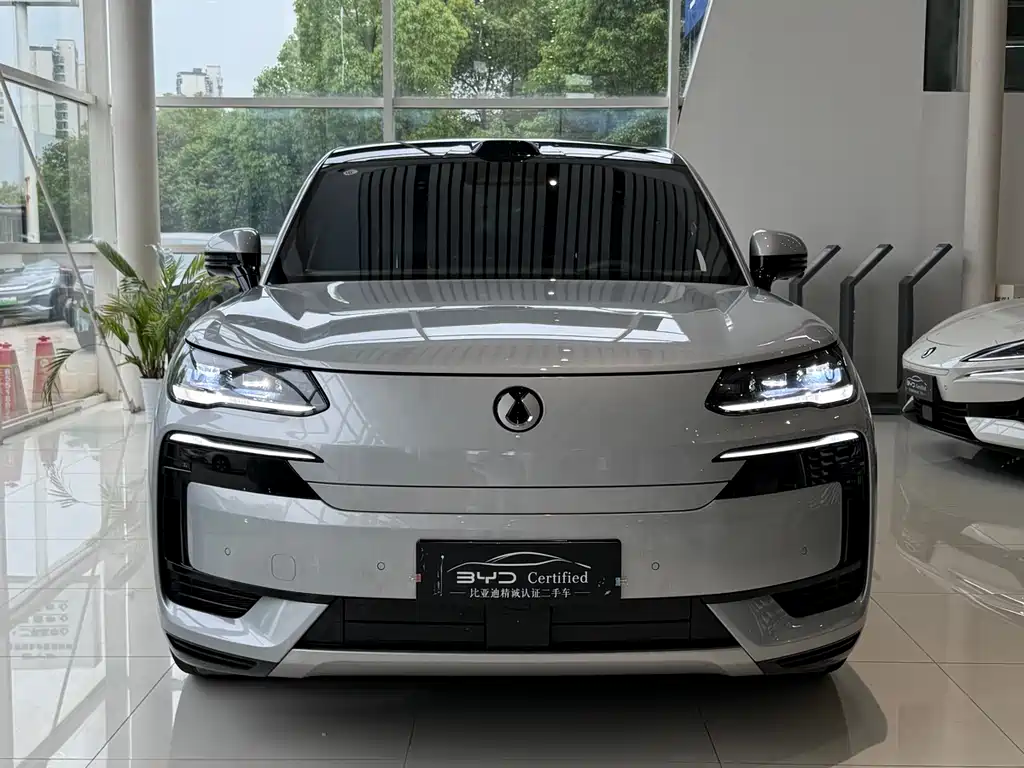 Denza N9 2025 Flagship