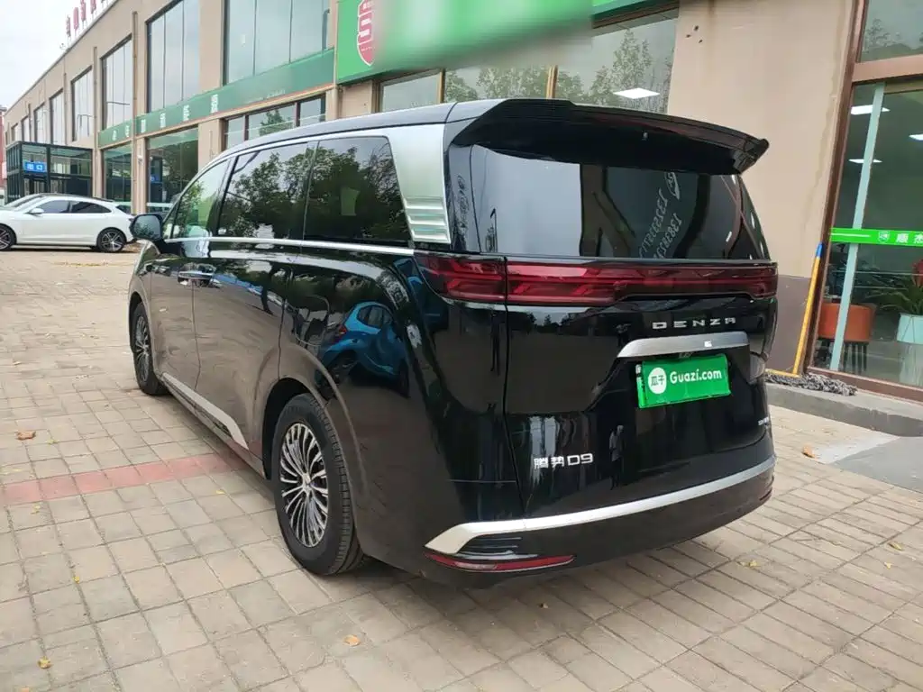 Denza Denza D9 — миниатюра 5