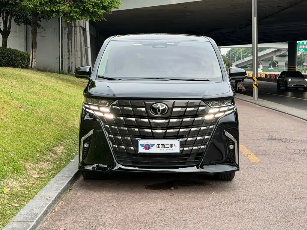 Toyota Alphard — миниатюра 2