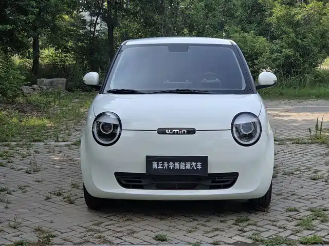 2025 Changan Lumin