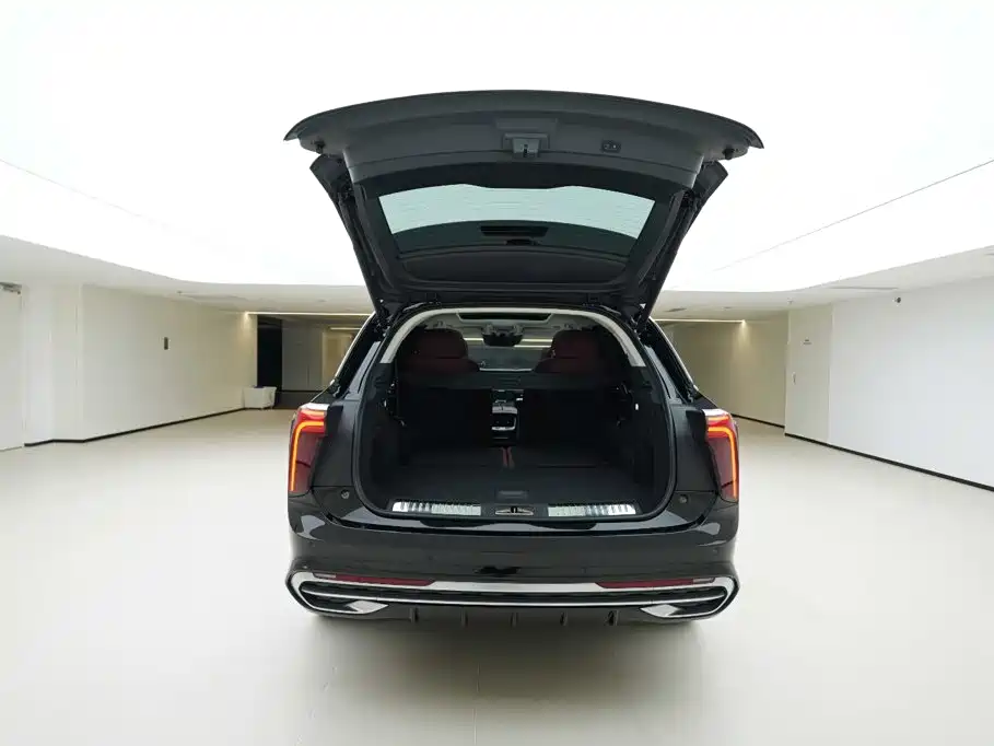 Hongqi Hongqi E-HS9 — миниатюра 6