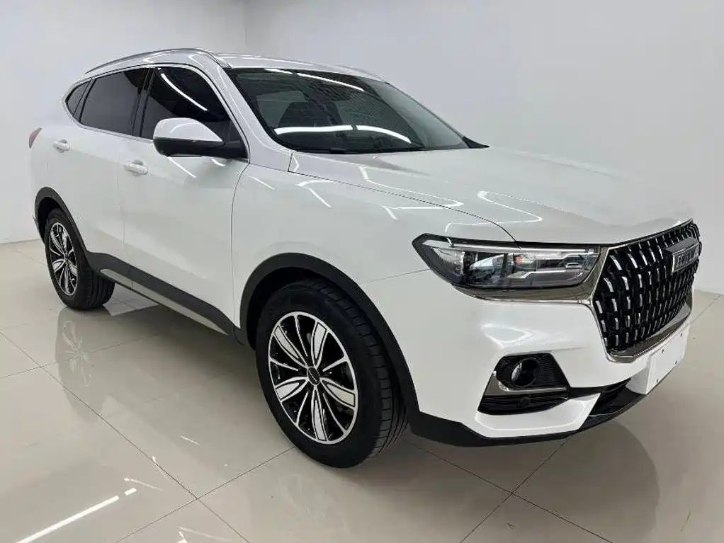 Haval H6 — миниатюра 3